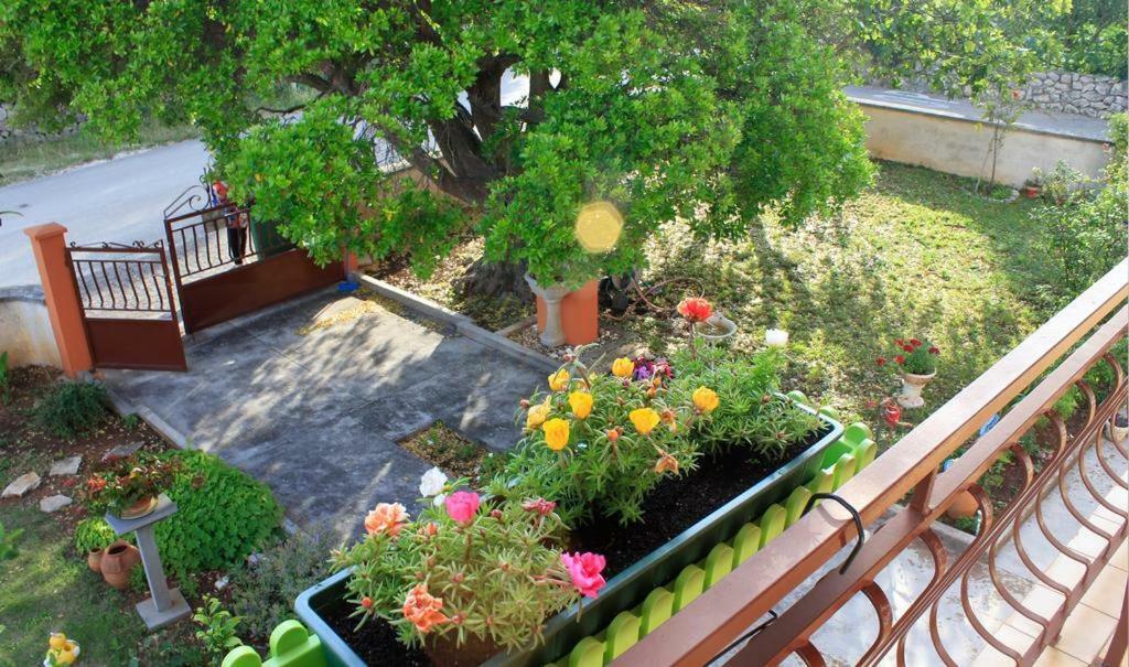 Apartmani Volga Petrcane Ngoại thất bức ảnh