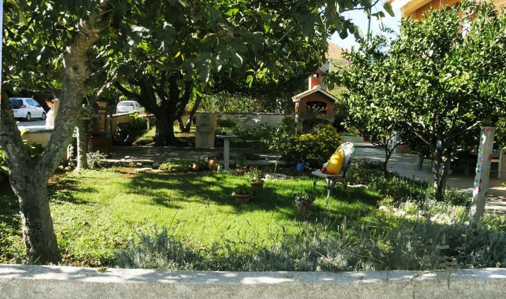 Apartmani Volga Petrcane Ngoại thất bức ảnh